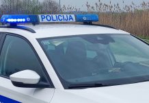 Pod utjecajem alkohola naletio na stado ovaca: uginulo 20 životinja kod Jagodnjaka