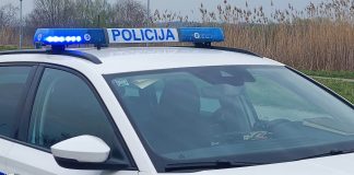 Pod utjecajem alkohola naletio na stado ovaca: uginulo 20 životinja kod Jagodnjaka