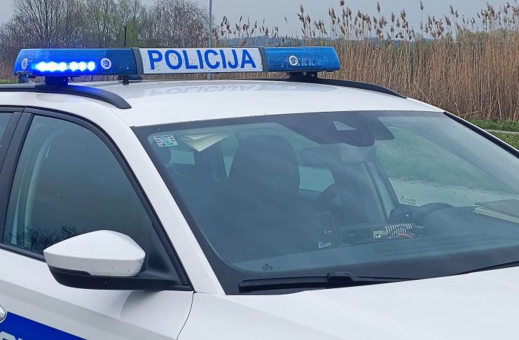 Pod utjecajem alkohola naletio na stado ovaca: uginulo 20 životinja kod Jagodnjaka