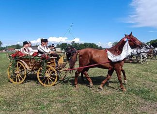 Konjogojska udruga „Baranjac“ najavljuje događaj 23. svibnja