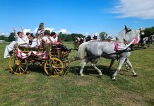 Konjogojska udruga „Baranja“ poziva na 16. Smotru svatovskih zaprega