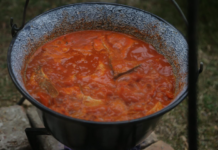 Prijave u tijeku: Jubilarna 10. Fišijada u Branjini