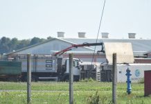 Potrebne osobe za pomoć Civilnoj zaštiti, za uklanjanje svinja u Sokolovcu – naknada osigurana