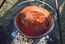 Traju prijave za fišijadu u Batini