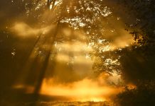 Otvoren foto natječaj “Najljepši prizori Osječko-baranjske županije”