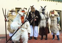 Baranjske buše proglašene nematerijalnim kulturnim dobrom Republike Hrvatske