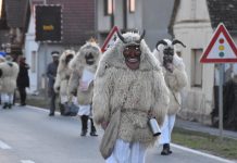 PROGRAM: Petaračke buše