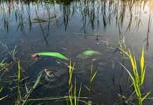 Motociklist zbog neprilagođene brzine sletio u kanal s vodom, prevezen u KBC Osijek