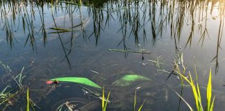 Motociklist zbog neprilagođene brzine sletio u kanal s vodom, prevezen u KBC Osijek