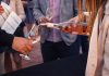 Baranja jača vinsku ponudu: Stiže prvi festival Vinolina