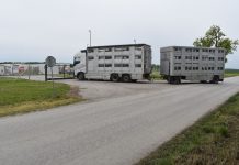 Na farmu Sokolovac započeo dovoz svinja, krenuo proces povratka proizvodnje u puni kapacitet