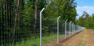 Kopački rit dobiva zaštitnu ogradu od 53 kilometra zbog afričke svinjske kuge