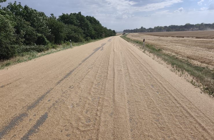 Više od 300 metara ceste prekrila pšenica, došlo i do slijetanja vozila