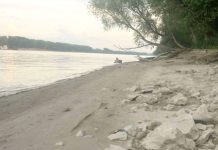 Dunav kod Batine na rekordno niskoj razini: Vodostaj pao na –87 centimetara