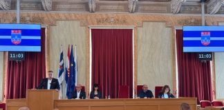 Nove mjere protiv afričke svinjske kuge: Stroži nadzori, kontrolni punktovi i pojačane granične kontrole
