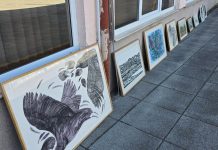 Beli Manastir danas postaje galerija na otvorenom: Na Trgu slobode izložba starih fotografija