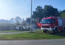 Požar trske i niskog raslinja na području Šećerane