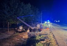 Policija objavila detalje nesreće u Jagodnjaku: Automobil se višestruko prevrnuo i krovom udario u stup