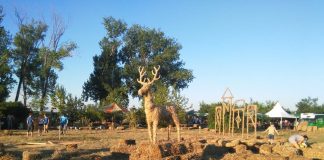 Jubilarnih 20 godina SLAMA Land Art Festivala: Kozjak ponovno postaje pozornica umjetnosti i zajedništva