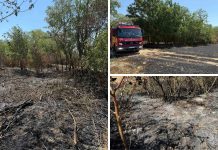 Požar otvorenog prostora na području Luga brzo se širio, vatrogasci spriječili veću štetu