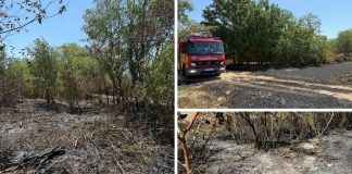 Požar otvorenog prostora na području Luga brzo se širio, vatrogasci spriječili veću štetu