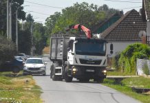 Jutros u Batini počela eutanazija: Sve svinje moraju biti uklonjene do 12. kolovoza