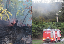 Požar u Zmajevcu; Gorjelo na strmom šumskom terenu, interveniralo 26 vatrogasaca