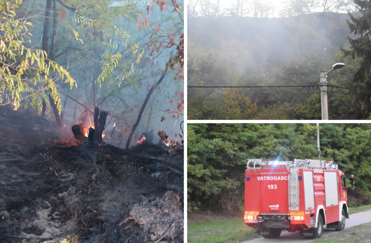 Požar u Zmajevcu; Gorjelo na strmom šumskom terenu, interveniralo 26 vatrogasaca