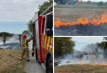 Građani na vrijeme dojavili požar u Bilju, spriječeno njegovo širenje