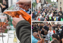 Danas počinje 21. Vinski maraton u Zmajevcu: Večeras Boris Novković, sutra maraton i Latino