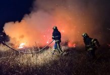 Požar strnjaka u Jagodnjaku kod farme Pustara 2