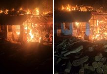 Požar u Karancu zahvatio drvarnicu i čardak, interveniralo 12 vatrogasaca