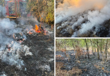 Požar u Lugu proširio se prema kućama: Gorjelo 3.000 četvornih metara, interveniralo deset vatrogasaca