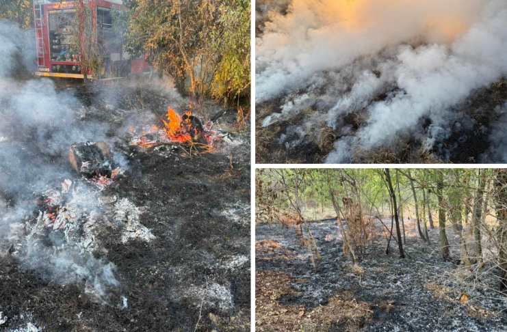 Požar u Lugu proširio se prema kućama: Gorjelo 3.000 četvornih metara, interveniralo deset vatrogasaca